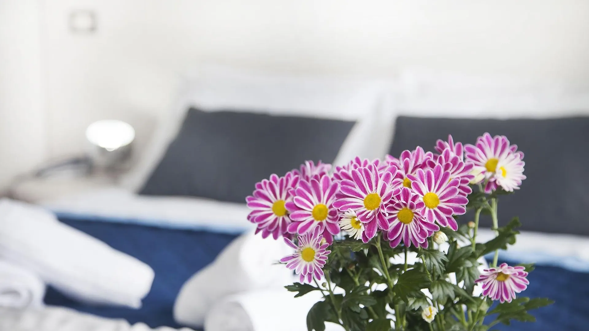 Hotel Stella D'Italia - Nuova Gestione Rímini 3*,  Italia