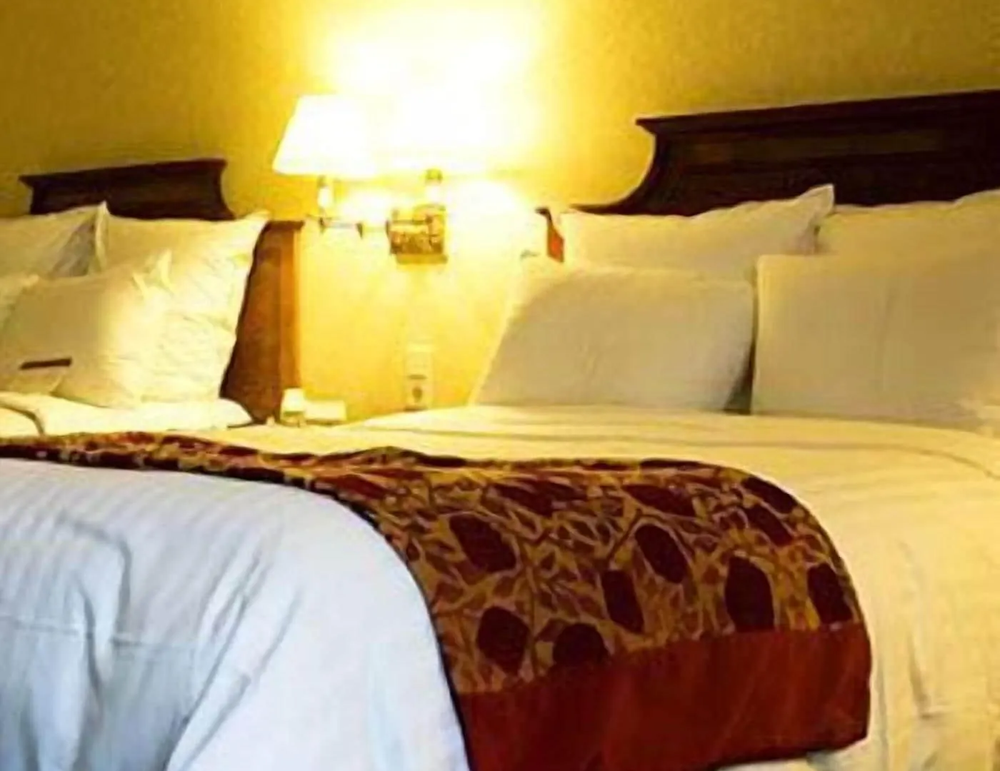 ***  Hotel Stella D'Italia - Nuova Gestione ريميني إيطاليا